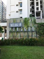 punggol-road photo thumbnail #10